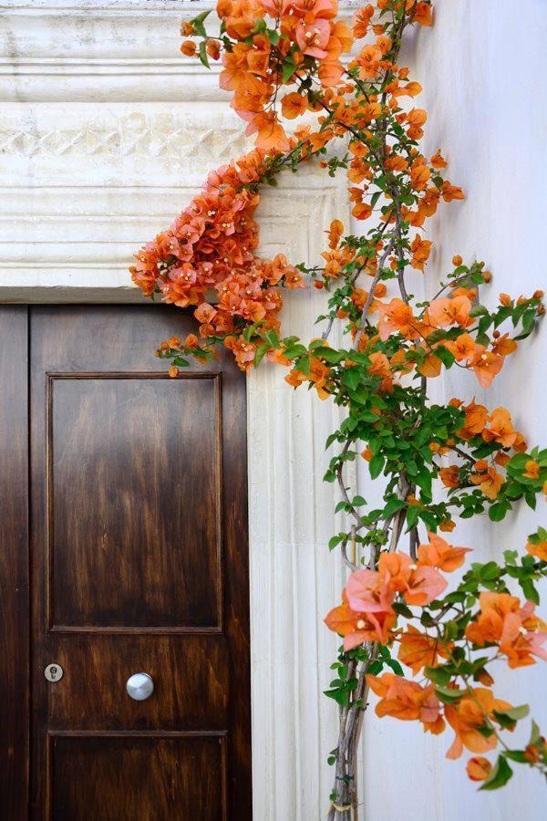 Il Giardino Bed & Breakfast Grottaglie Ngoại thất bức ảnh